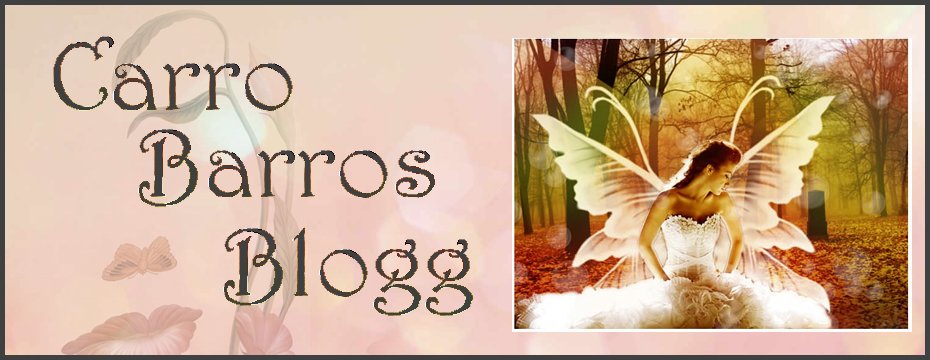 Carro Barros Blogg