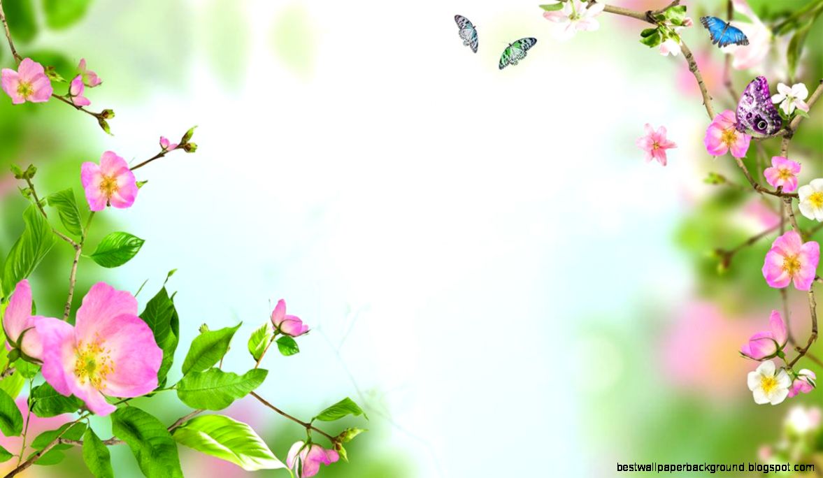 Flowers Live Wallpaper Android Apps on Google Play Flowers Live Wallpaper Android Apps on Google Play