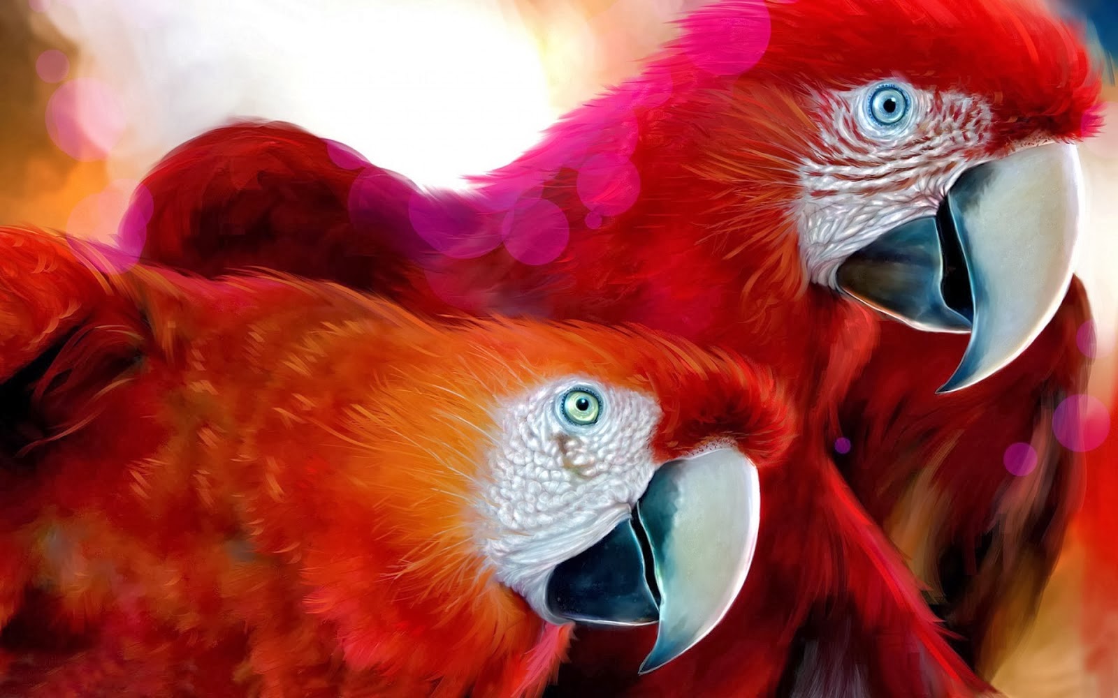 All Hot Informations: Download Birds HD Wallpapers Download 1080p