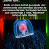 La medusa Turritopsis Nutricula es el único animal inmortal