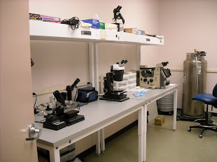 Optical Microscopy Lab