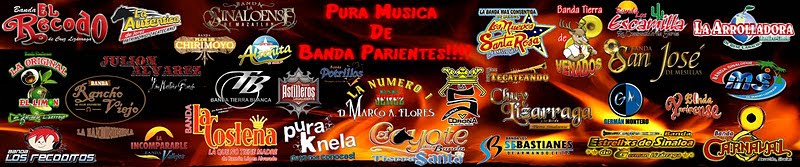 PuRaMuSiCadEBaNdAPaRiEnTeS♪®