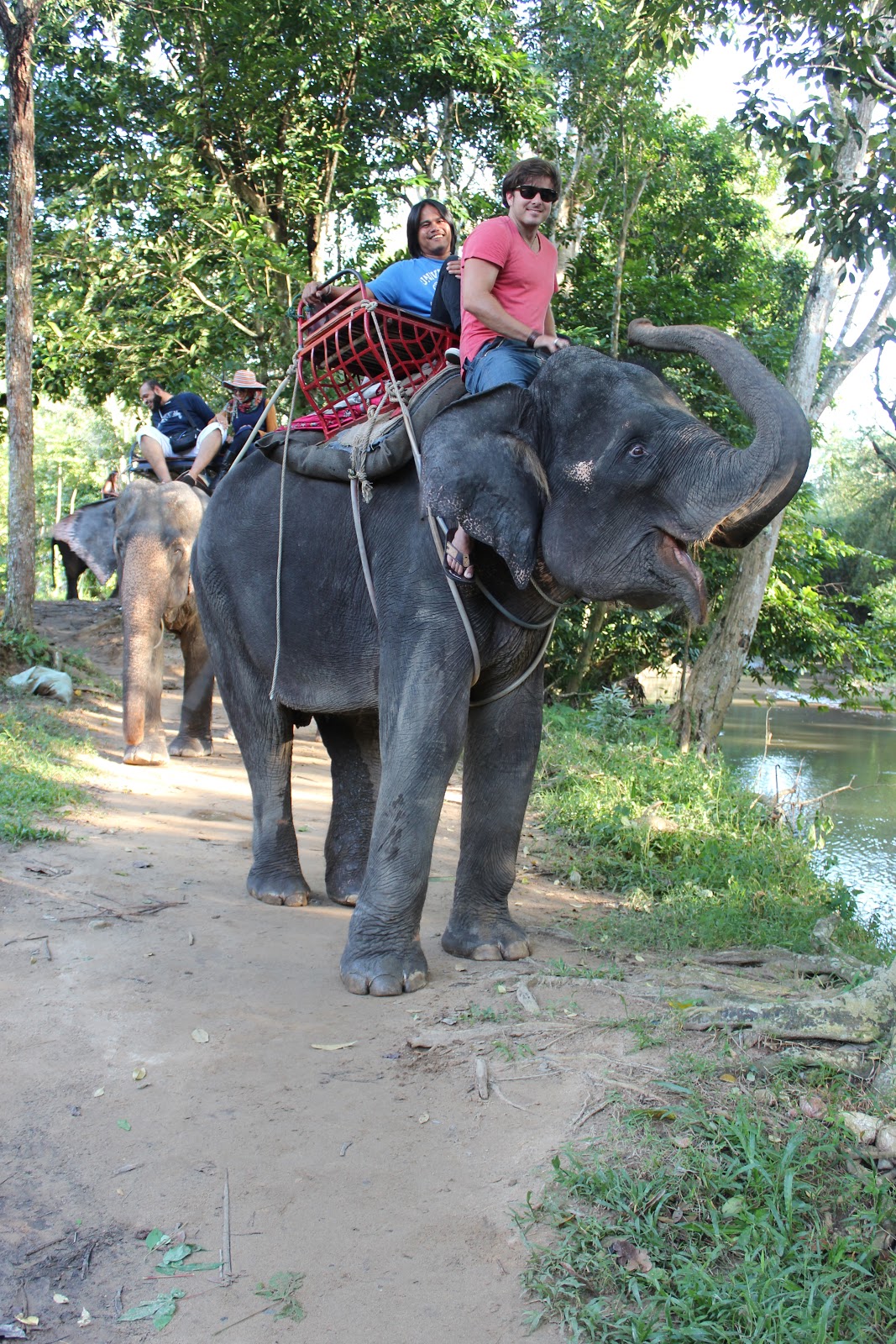 Traveller of Taste Elephant riding on Koh Samui