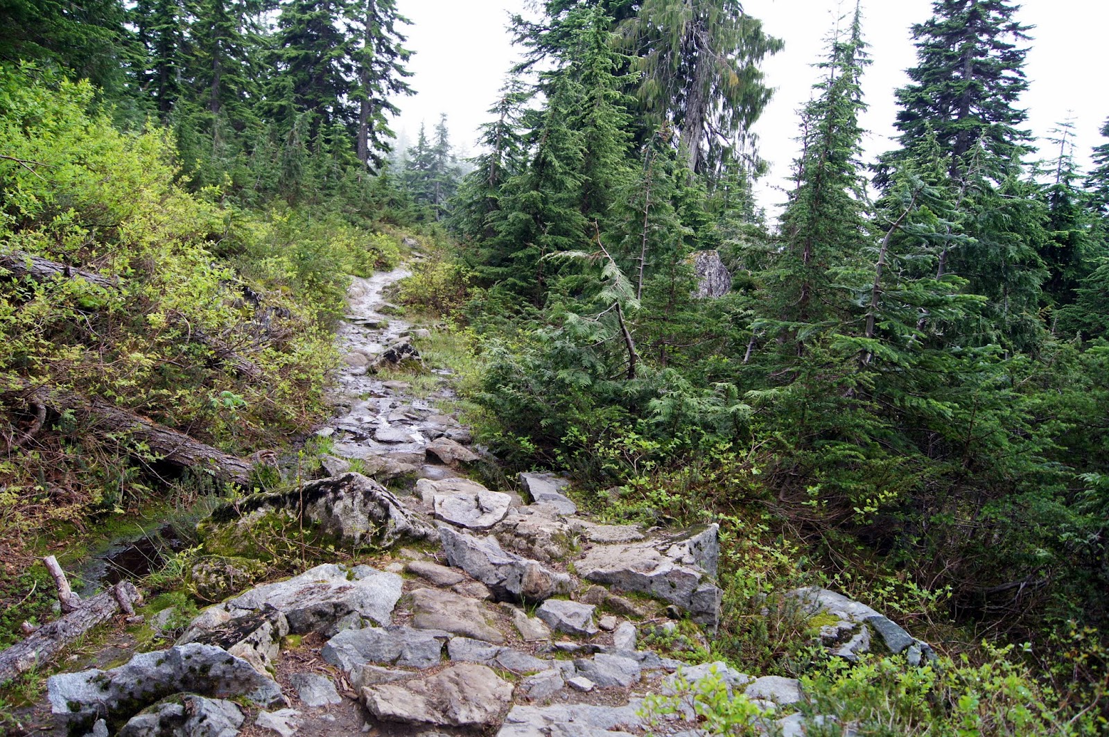 Mashed Thoughts Hiking up Mount Seymour