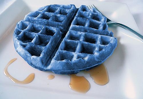 blue%2Bwaffle%2Berk.jpg