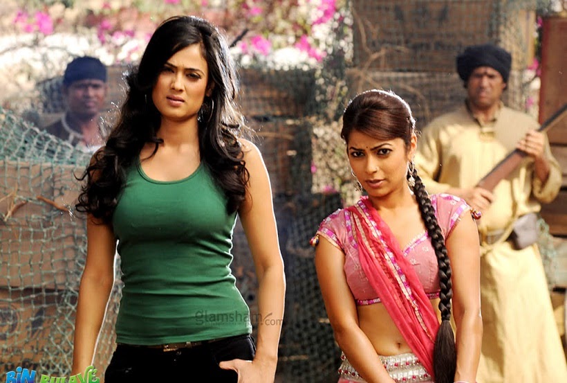 bin bulaye baraati cast bin bulaye baraati cast