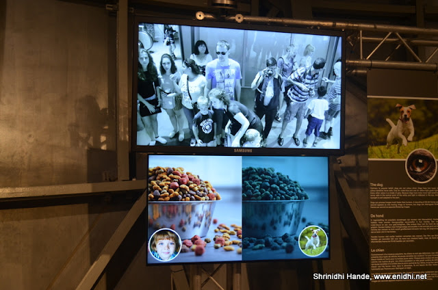 ebook moses maimonides the man and