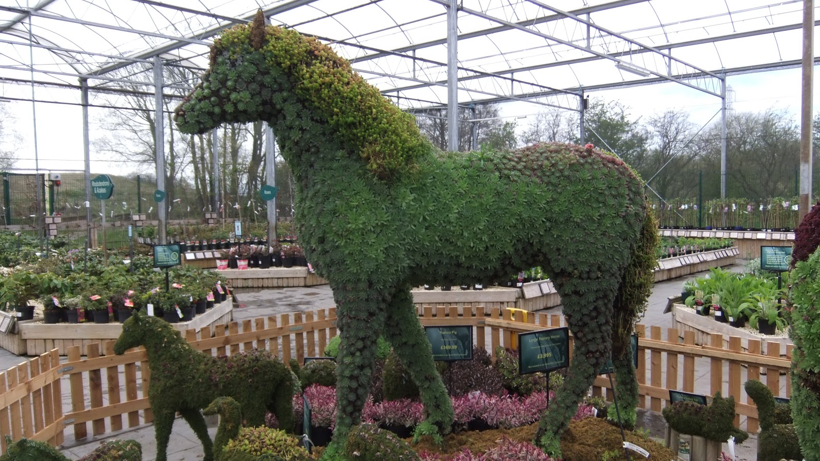 North West Images Barton Grange Garden Centre