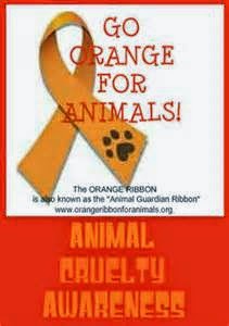 Going Orange For ASPCA