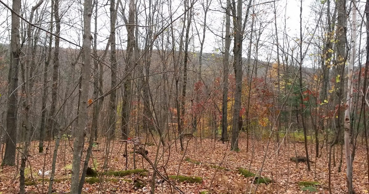 Berkshire Hiker Harvey Mountain, Austerlitz, NY