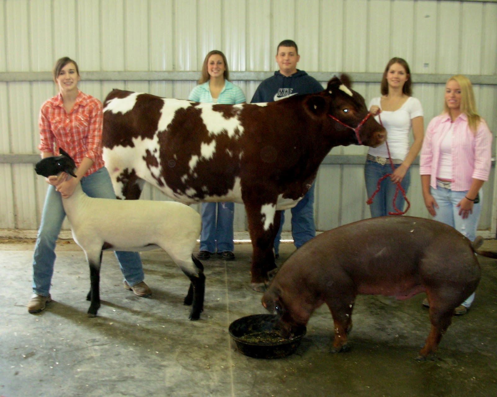 for the love of beef FFA Week Career Development Events