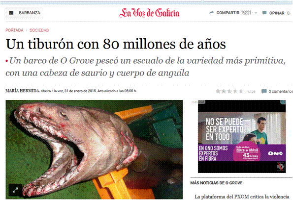 http://www.lavozdegalicia.es/noticia/barbanza/2015/01/31/tiburon-80-millones-anos/0003_201501G31P29991.htm
