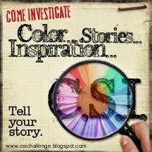 CSI: Color, Stories, Inspiration