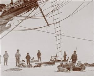 LIEUTENANT GREELY AND TEAM MEMBERS GREELY ARCTIC RELIEF EXPEDITION GENEALOGY