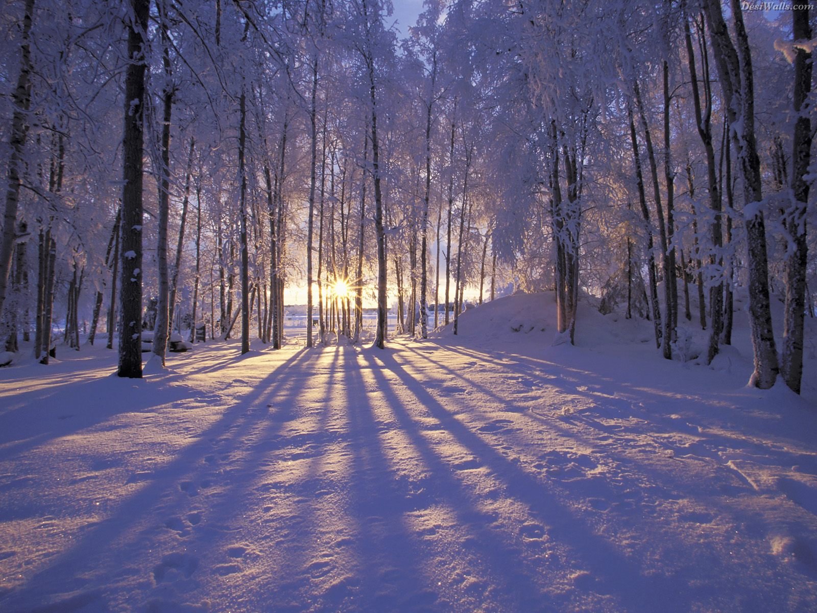 http://3.bp.blogspot.com/-aiAPpa4DR_g/T3gYB99xtKI/AAAAAAAAB4A/soxal_KL6Q0/s1600/winter+sunset+alaska.jpg