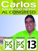 Carlos Gallardo al Congreso