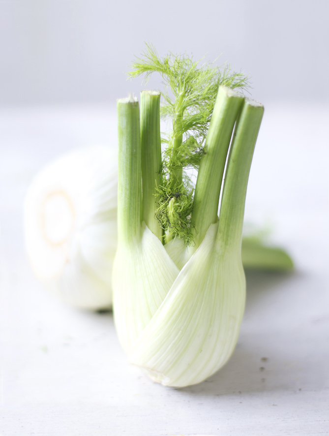 appledrane Bulb fennel