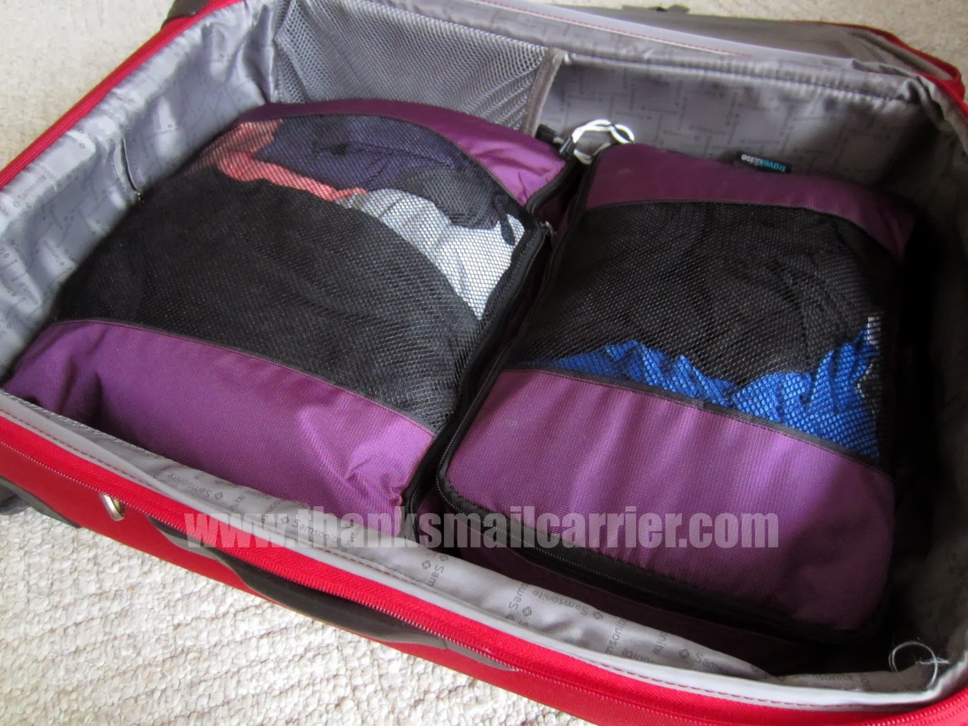 travelwise packing cubes