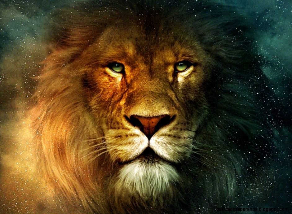 Lion Desktop Wallpapers Wallpaper Cave Lion Desktop Wallpapers Wallpaper Cave