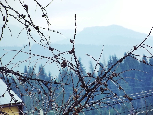 Zakopane Atrakcje Okolice