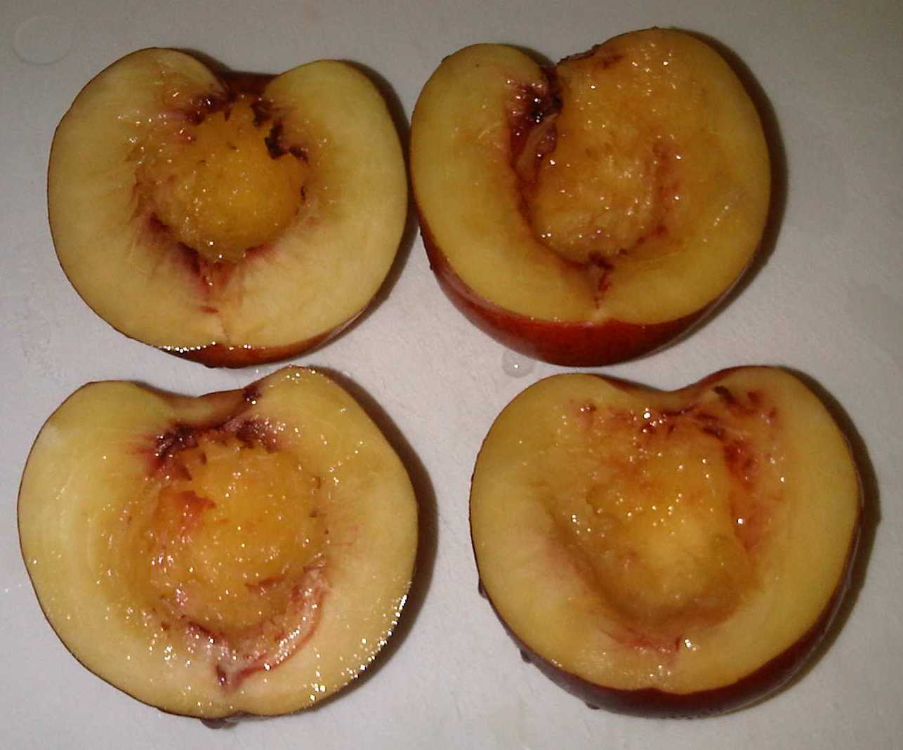 El Fogón de Polo NECTARINAS A LA MODA EN SALSA DE CARAMELO