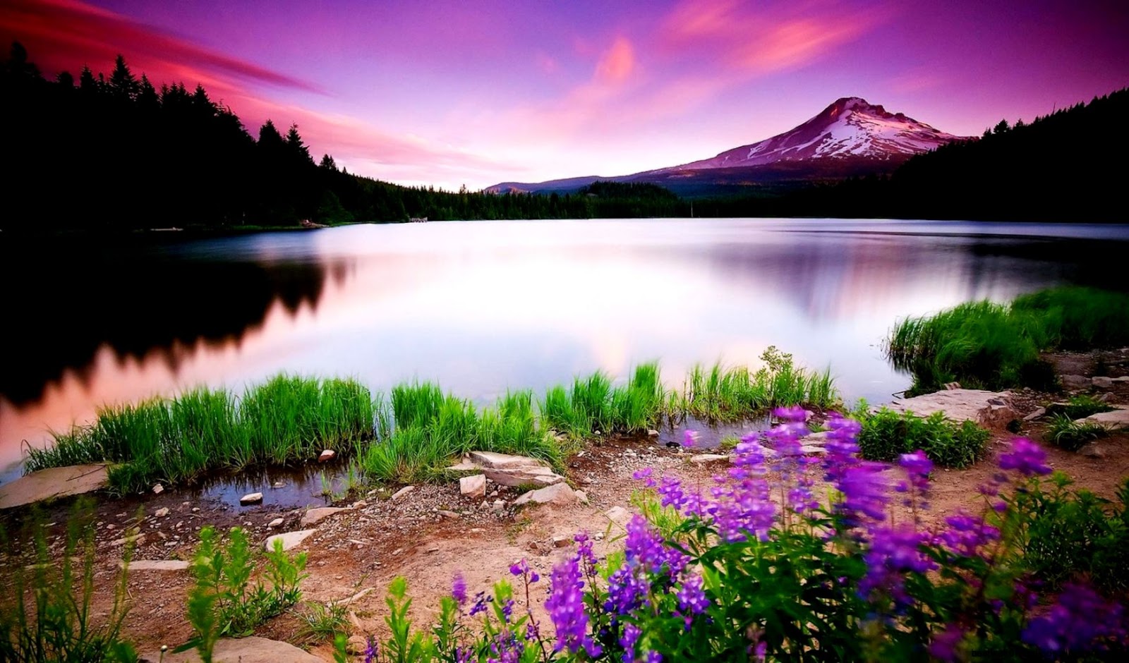 Colorful Nature Wallpaper amp its High Definition Nature Wallpaper HD Colorful Nature Wallpaper amp its High Definition Nature Wallpaper HD