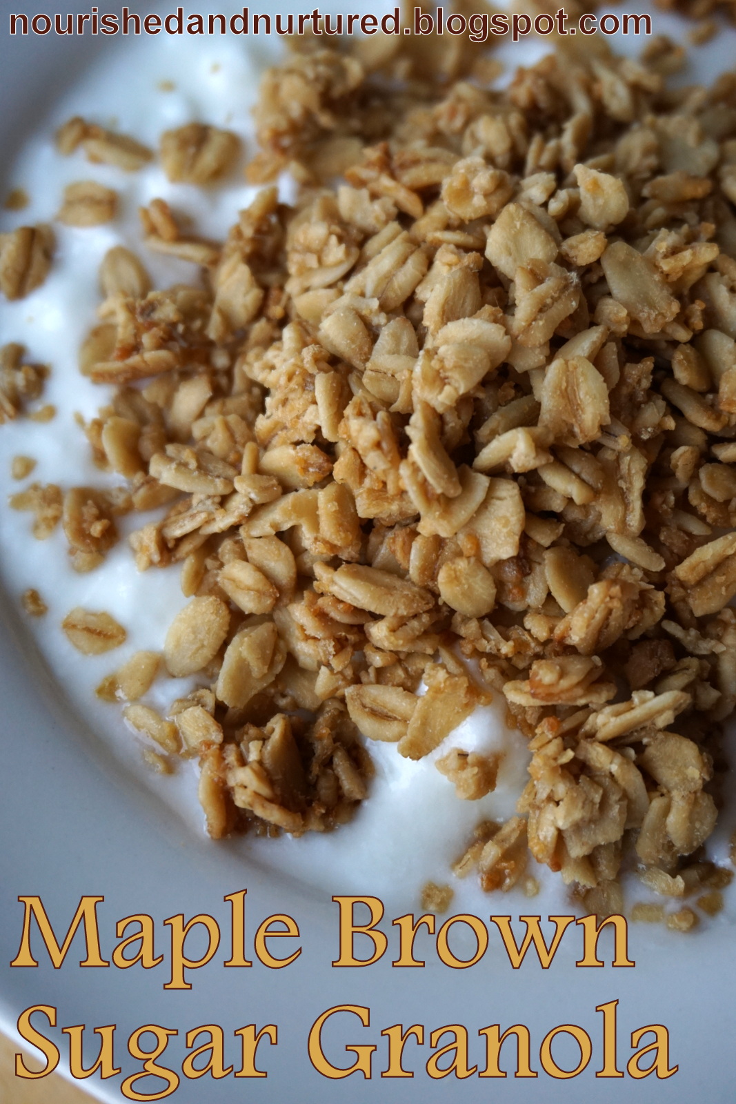 Nourished and Nurtured Maple Brown Sugar Granola (glutenfree)