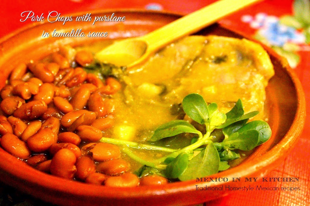 10 Amazing and popular recipes using Tomatillos Traditional Homestyle