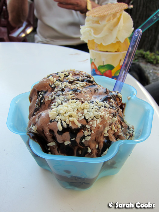 Sarah Cooks Germany 2011 IceCream