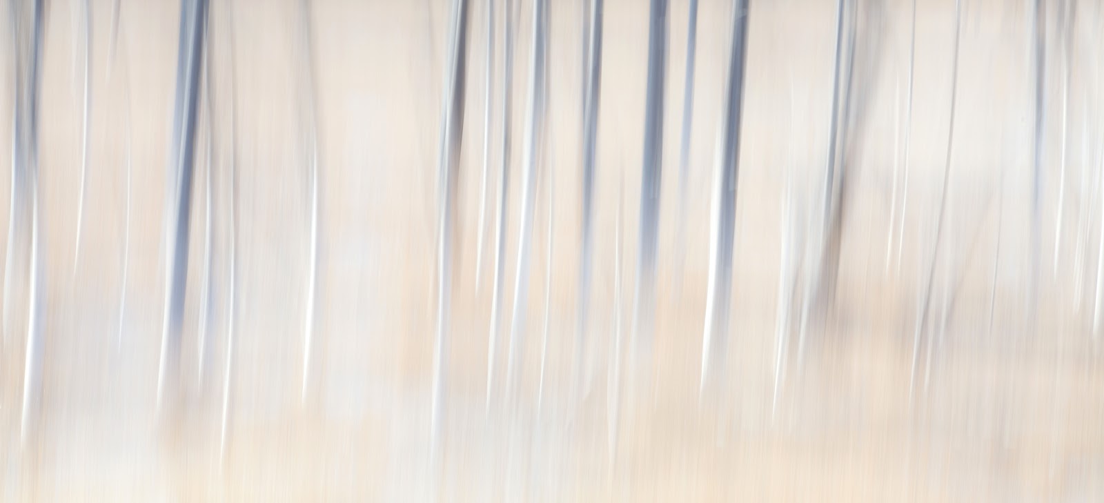 ShutterbugMama Abstract Landscape Photography