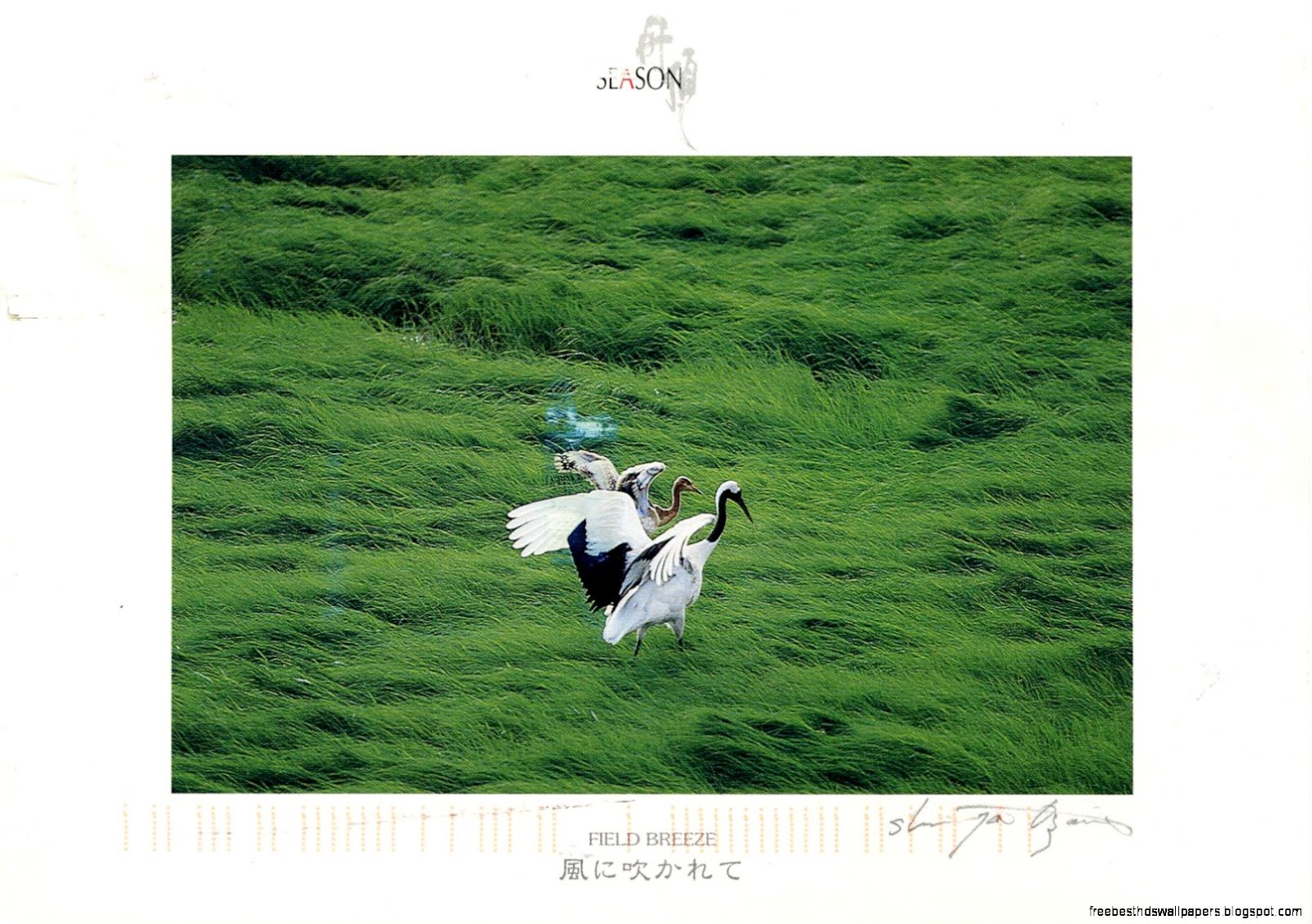 Japan in Japanese Writing Japan in Japanese Writing