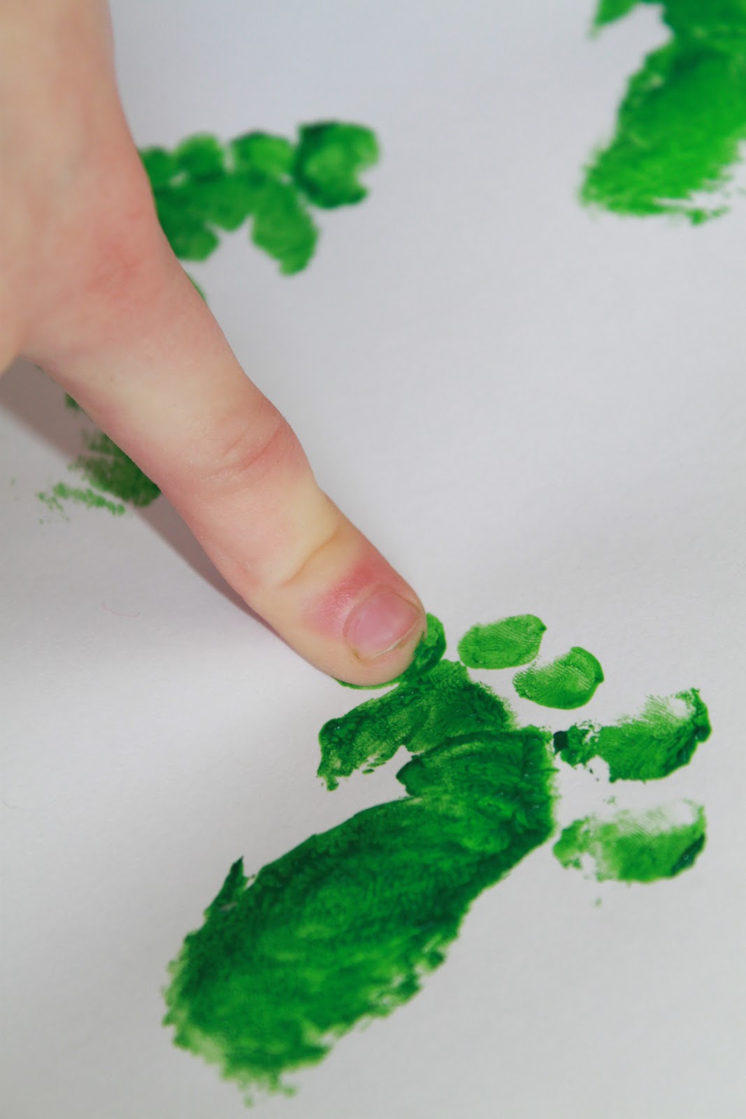 Leprechaun Tracks or Baby Footprints