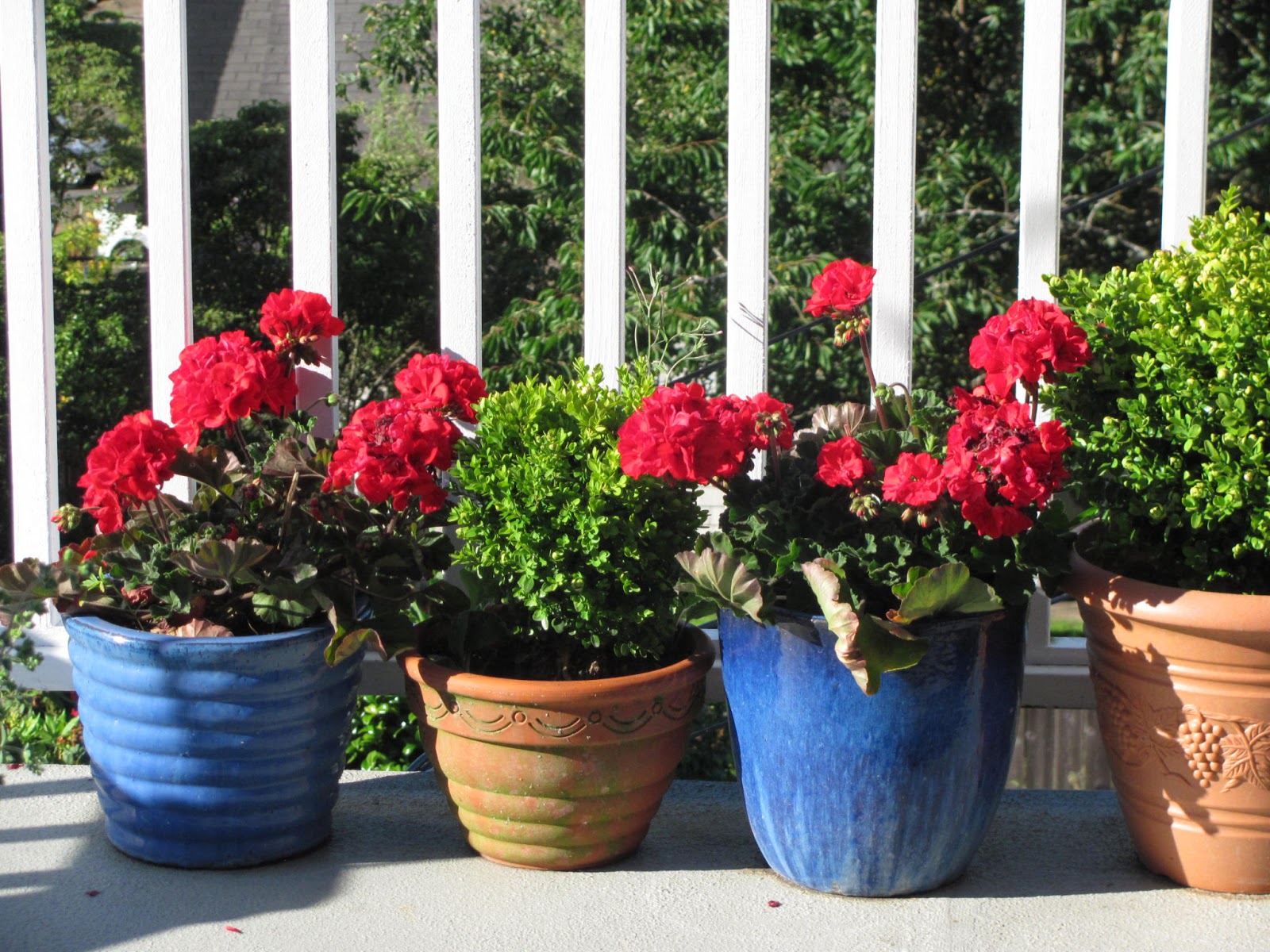 Studio, Garden & Bungalow In the Garden with Colored Pots