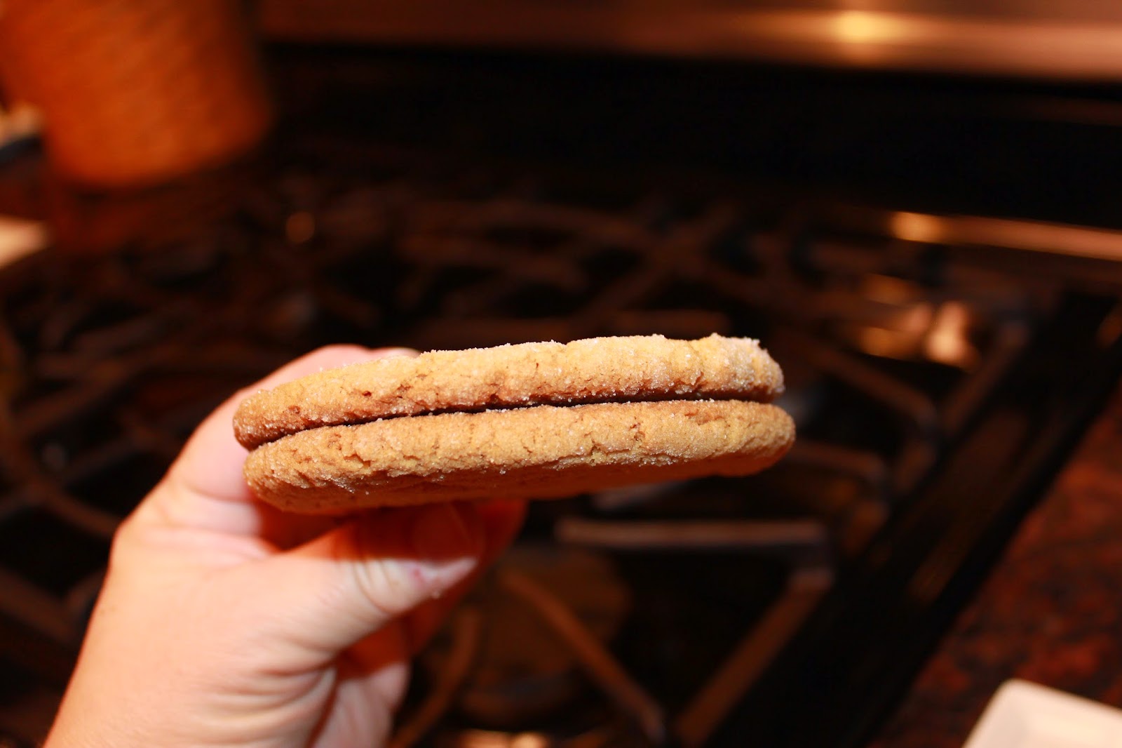 Michelle's Tasty Creations Jumbo Peanut Butter Cookies
