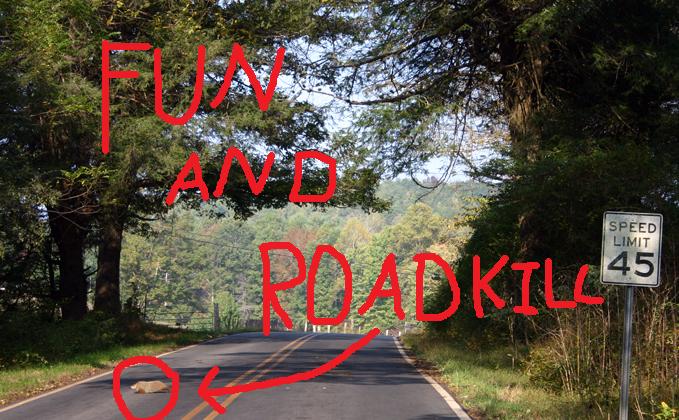 Fun & Roadkill
