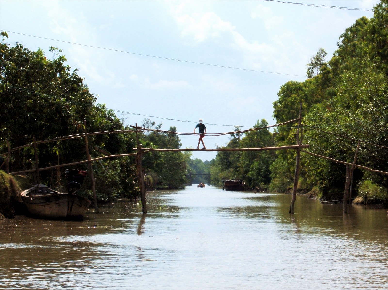 Bridges Monkey Bridges Vietnam