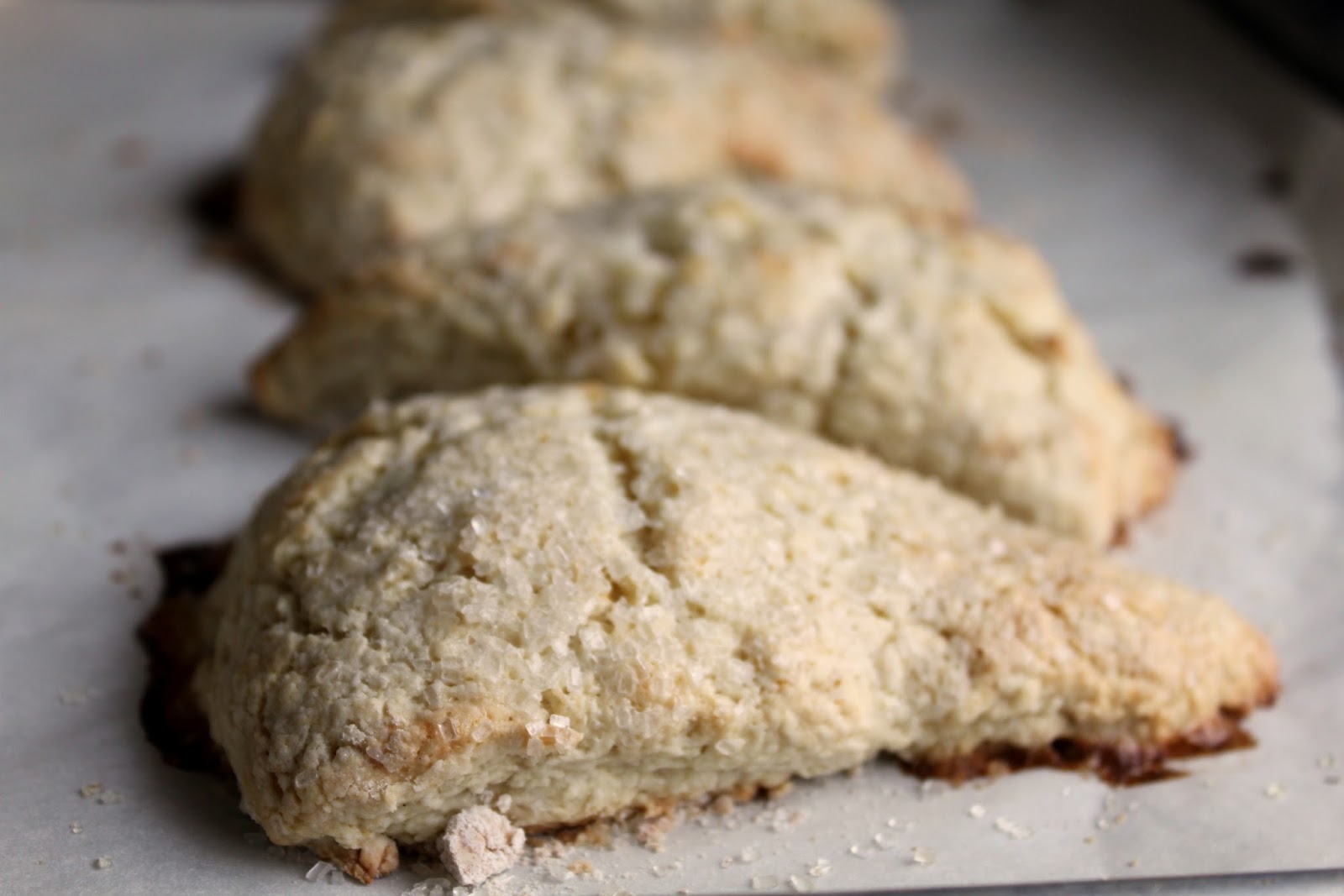 Vanilla Bean Scones A Feast For The Eyes