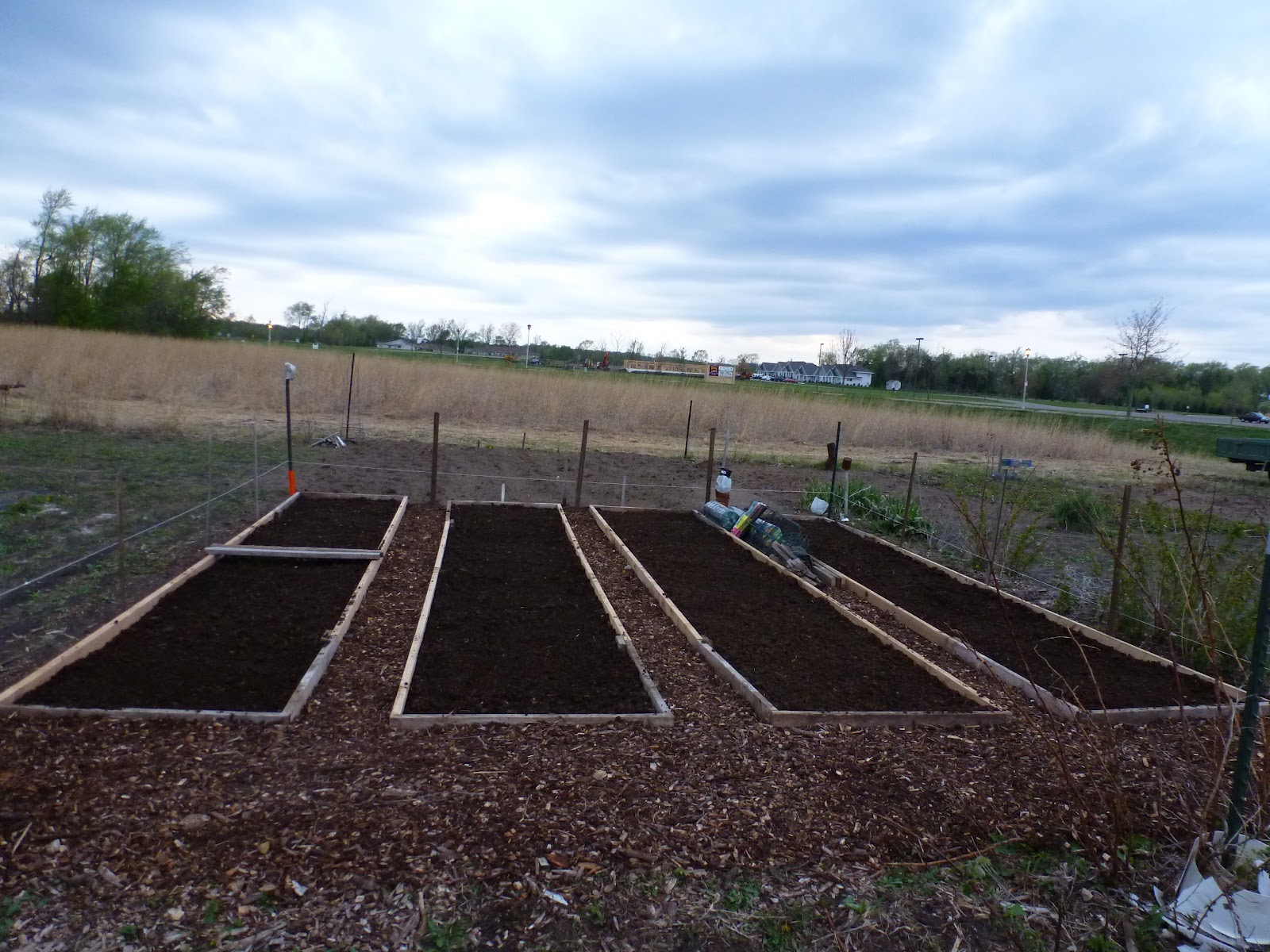 Anita's Health Blog Garden Plot