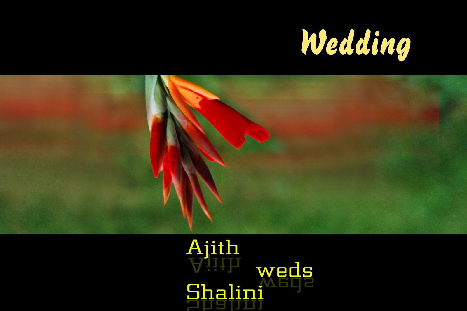 Creative and Design: Photoshop Background Vol 1