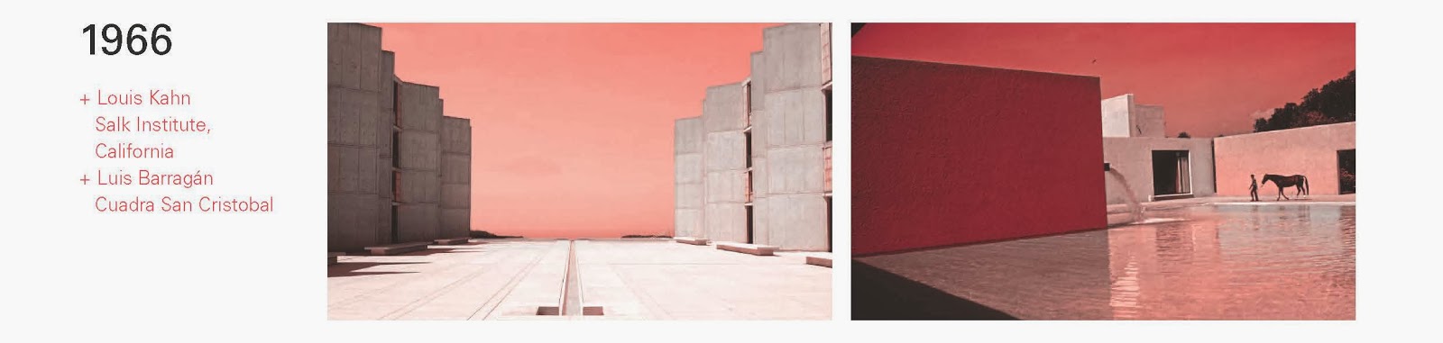 safari cards by editions rencontre