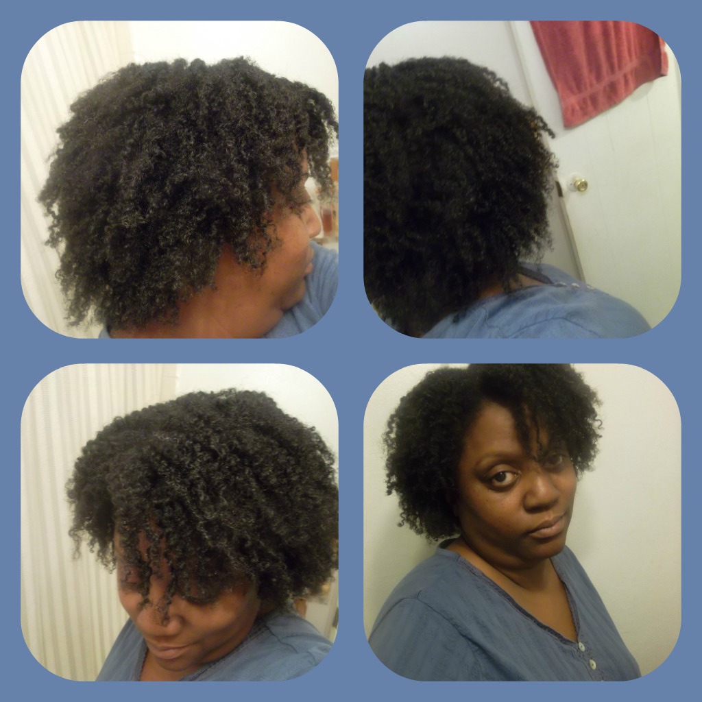 My Natural Hair Journey Twist Out From Two Strand Twist Using