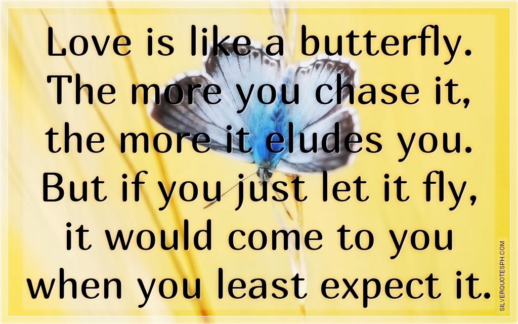 Love Is Like A Butterfly SILVER QUOTES
