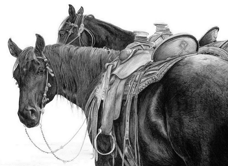 Top 10 Photos Buckaroo Country Laugh Like We Are Having Fun