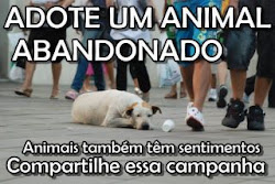 ADOPTE, NÃO COMPRE!!!