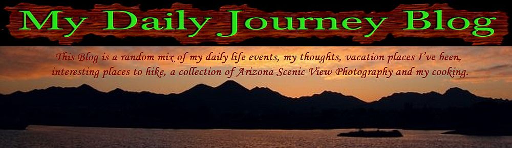 My Daily Journey Blog