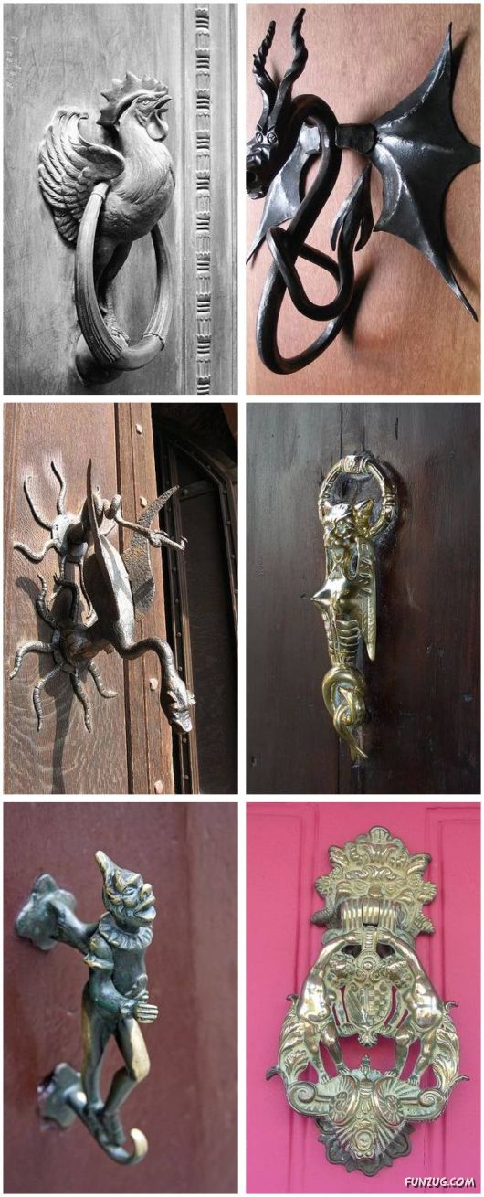 Most elegant door handles Animal Photo