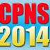 Pengumuman CPNS 2014