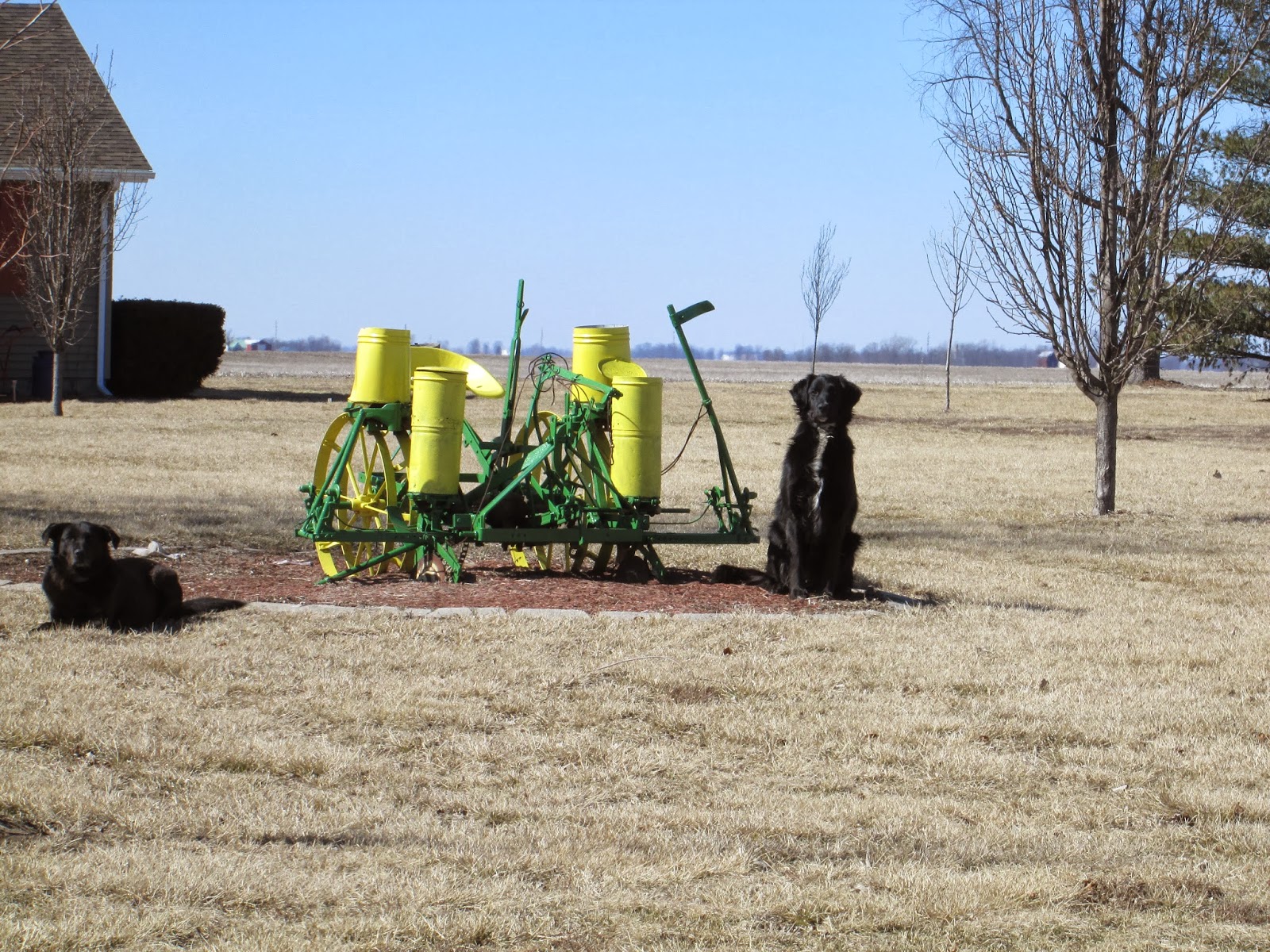 Observations in Agriculture: March 2014