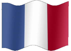 Animation French Flag