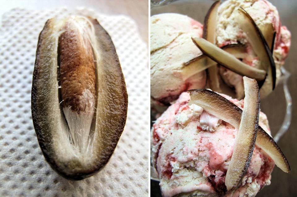 Foodiva's Kitchen Fennel, Date and Strawberry Ice Cream